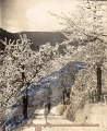 Im Blütengarten St. Martins. Talstraße um 1930. Originalfoto als Vorlage für eine Postkarte. Privatbesitz.